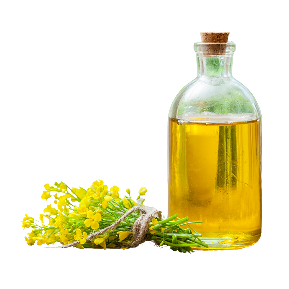 GRAPESEED OIL
