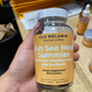 Irish Sea Moss Gummies (with Bladderwrack + Burdock Root)