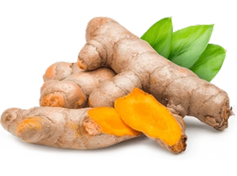 Turmeric Root